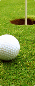 Gone Golfing (Balls)